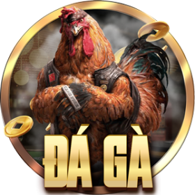 đá gà cam368